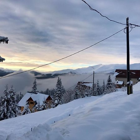 Casa De Vacanta Trei Brazi Рынка Экстерьер фото